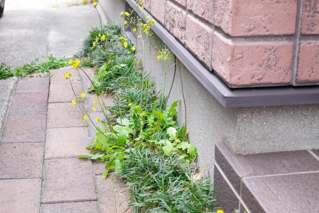 建物の基礎