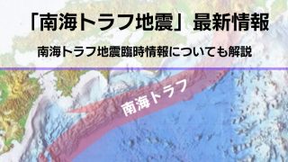 【南海トラフ地震が心配】はるか9Kg+はるか3.5Kg　【２箱縛りで発送】 hq720.jpg?sqp=-