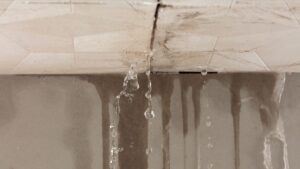 耐震補強が必要な住宅を確認：劣化（ひび割れ、傾き、雨漏り、シロアリなど）が進行している住宅