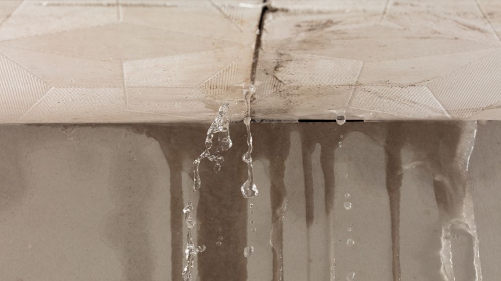 耐震補強が必要な住宅を確認：劣化（ひび割れ、傾き、雨漏り、シロアリなど）が進行している住宅