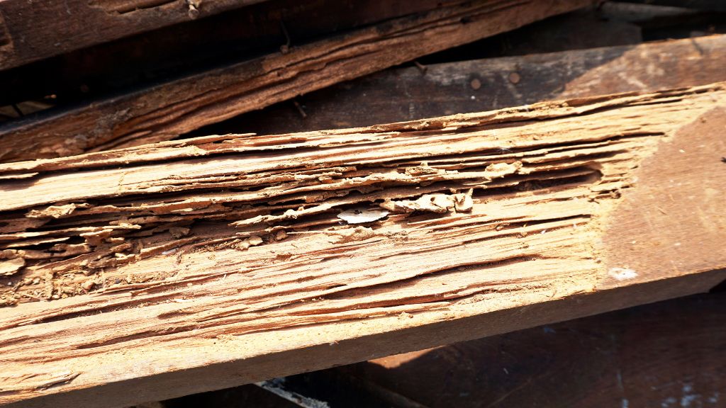 知っておきたい、木造住宅の寿命を縮める要因
